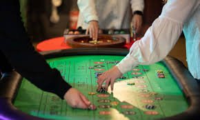 Comprehensive guide sections for informed entertainment decisions
